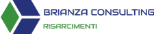 Brianza Consulting Logo